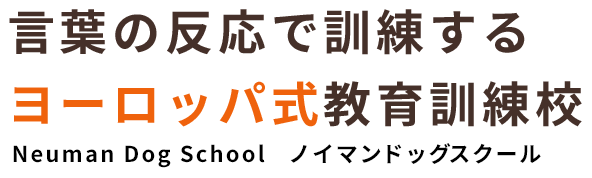 言葉の反応で訓練するヨーロッパ式教育訓練校 ノイマンドッグスクール