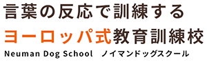 言葉の反応で訓練するヨーロッパ式教育訓練校 ノイマンドッグスクール